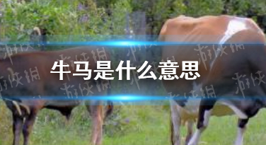 ţ����ʲô��˼Ŷ ��������¹�ţ��