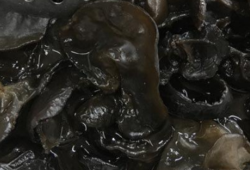 ���ľ���Ĺ�Ч������ ��Ч�ų�����