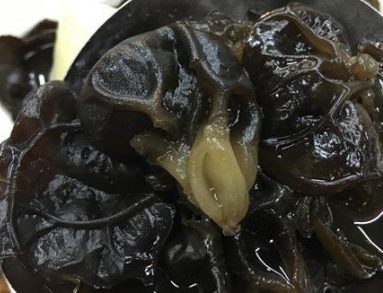 ���ľ���Ĺ�Ч������ ��Ч�ų�����