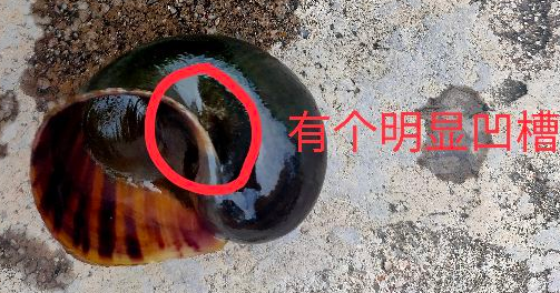 �����ݺ����ݶԱ���Ƭ �����ݺ����ݵ�����