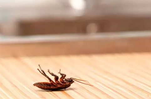 ����Σ������� ���ͨ�������������������