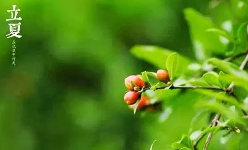 ����ʫ���ʫ��ȫ