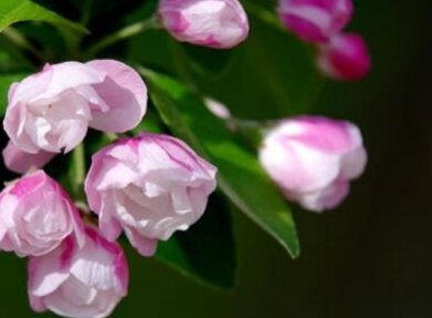 �����Ļ�����ȫ