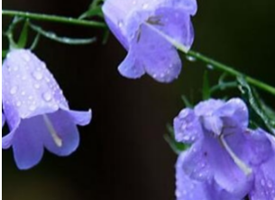 �����Ļ�����ȫ