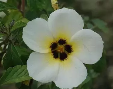 �����Ļ�����ȫ