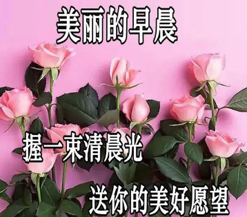 ���Ϻõ��ʺ�Ψ������ ��������һ��ĺ�����