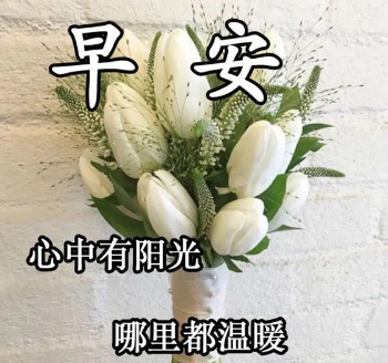 ���Ϻõ��ʺ�Ψ������ ��������һ��ĺ�����
