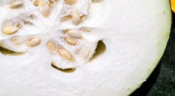 ������ʳ�״�ȫ ���ѧ�Ľ�����ʳ�״�ȫ