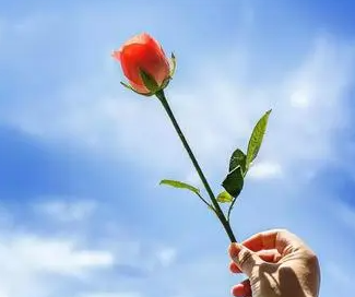 �ж���ʶ��ϧ������� ��������һ�ֺ������Ե��