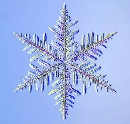 ��ȫ�Գ�����ʲôԢ�� ����Բ�������³�