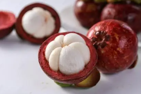 ɽ��Ĺ�Ч��������������