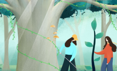 ֲ�����Ǽ��¼��� ��ÿ���3��12��