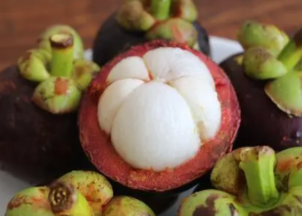 ɽ��Ĺ�Ч��������������