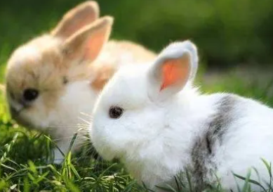 ���õĽ������� ������