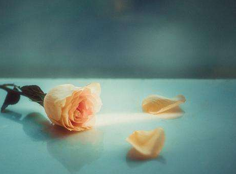 Ů��һ���������о��ֱ���