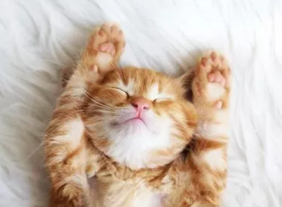 1��������˯�ŵķ��� ����һЩ������˯�ķ���