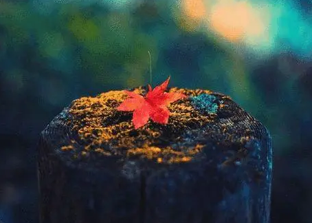 ��ʾ����ĳ�˵ľ��� ��Щ�����ܲ���˵����