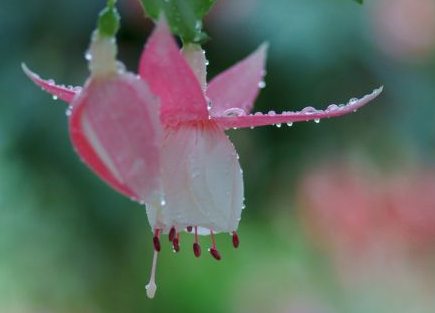 Ů�������ּ�����