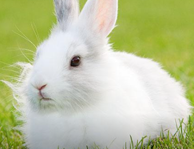 ���õĽ������� ������