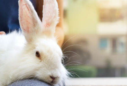 ���õĽ������� ������