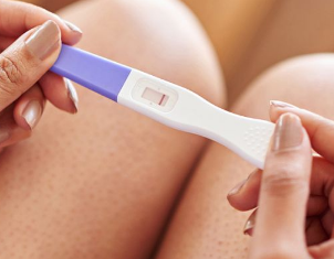 Ԥ���ڼ�������ѯ