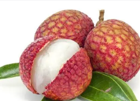 ��֦��Ӫ����ֵ����Ч ��ô���淽��