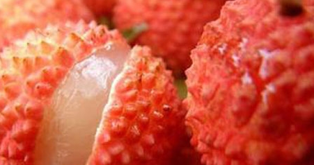 ��֦��Ӫ����ֵ����Ч ��ô���淽��