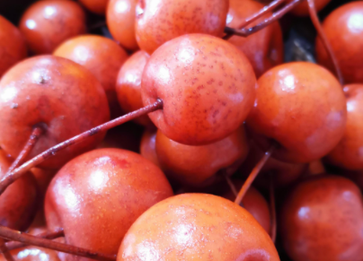 ������ˮ�������빦Ч �������ӵļ��ʷ���