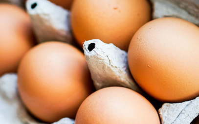 ����������ѵ�ʮ��ʳ�� 10ʳ�ﶼ��ʲô