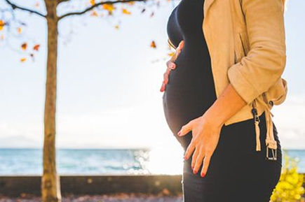 �μ�������ʲô���� ͨ��Ԥʾ�ƻ���;����