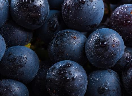 ������ˮ������Щ ������ˮ�����а�10ǿ