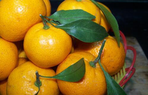 ������ˮ������Щ ������ˮ�����а�10ǿ