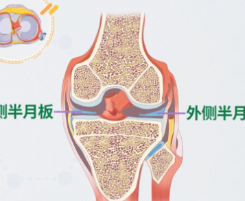 ���°��г�����ʲôӰ�� ϥ�ؽڰ��°�������ô����