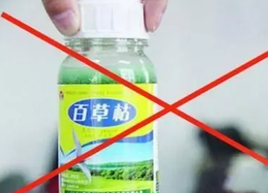 �ٲݿݺ͵е�η�ĸ����� �ٲݿݶ�������˵�綾