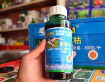 �ٲݿݺ͵е�η�ĸ����� �ٲݿݶ�������˵�綾