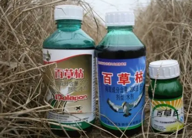 �ٲݿݺ͵е�η�ĸ����� �ٲݿݶ�������˵�綾