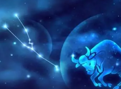 ��ţ������û��ı��� ��ϲ��Ҳ���ֺ�����