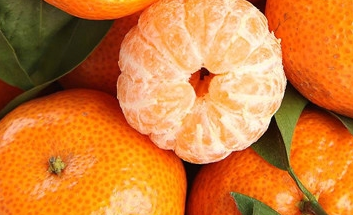 ɳ�ǽ۵Ĺ�Ч���� ɳ�ǽ���ֲ����