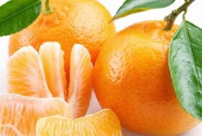 ɳ�ǽ۵Ĺ�Ч���� ɳ�ǽ���ֲ����