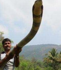 ����������� ����ѷɭ������֪������������