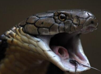 ����������� ����ѷɭ������֪������������