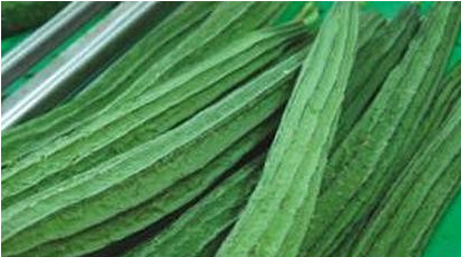 祛斑最有效的8个偏方 面对这个就不要再偷懒啦