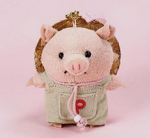 ʮ�������������ʲô���ӵ� 12����ר�����ͼƬ