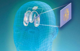 ��Щ��Ҳ�����й�����ЧӦ ʲô�Ǻ���ЧӦ