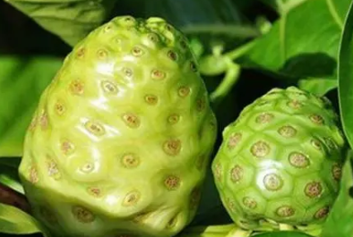 ŵ�����Ĺ�Ч�������� ���Ǻ���ľ��ꪵĹ�ʵ