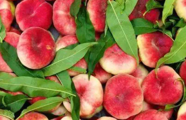 ��ҵĹ�Ч�븱���� Ӫ����ֵҲ����