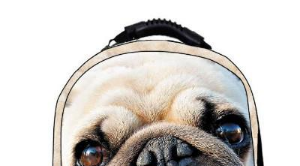 ʮ�������������ʲô���ӵ� 12����ר�����ͼƬ