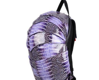 ʮ�������������ʲô���ӵ� 12����ר�����ͼƬ