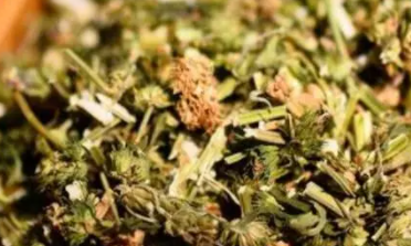 ��ĸ��ʲôʱ������ ���л�Ѫ�����Ĺ�Ч