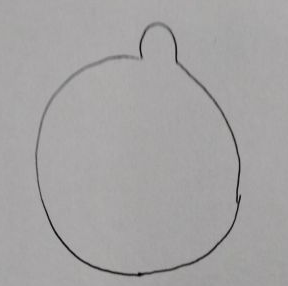 �ɰ�С�˼�ʻ��ز� ������߱����Ķ�������